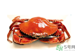 吃螃蟹后嘔吐怎么辦？吃螃蟹嘔吐吃什么藥？