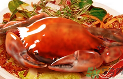 吃螃蟹后嘔吐怎么辦？吃螃蟹嘔吐吃什么藥？