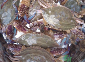 梭子蟹多少錢一斤？梭子蟹多少錢一只？