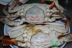 梭子蟹怎么洗？冷凍梭子蟹怎么洗？