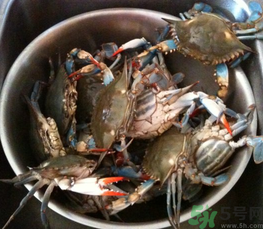 梭子蟹怎么保存？活的梭子蟹怎么保存？