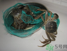 梭子蟹怎么保存？活的梭子蟹怎么保存？