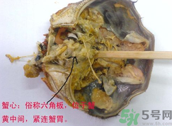 梭子蟹哪些部位不能吃？梭子蟹哪些人不能吃？