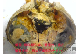 梭子蟹哪些部位不能吃？梭子蟹哪些人不能吃？
