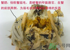 梭子蟹哪些部位不能吃？梭子蟹哪些人不能吃？