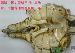 梭子蟹哪些部位不能吃？梭子蟹哪些人不能吃？