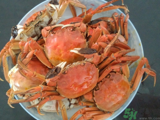 大閘蟹公的好還是母的好？大閘蟹怎么分辨公母？