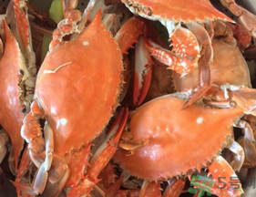 大閘蟹公的好還是母的好？大閘蟹怎么分辨公母？