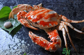 大閘蟹公的好還是母的好？大閘蟹怎么分辨公母？