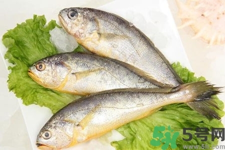 秋季適合吃什么魚(yú)？秋季吃魚(yú)的好處？