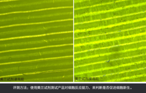 sk2大眼眼霜怎么樣？sk2大眼眼霜好用嗎？