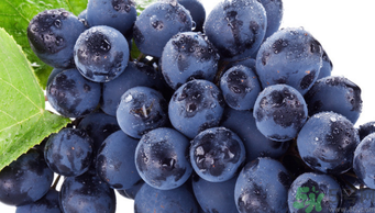 巨峰葡萄吃多了好嗎？食用巨峰葡萄的注意事項