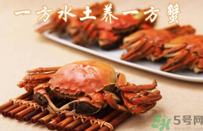 盤錦河蟹和陽澄湖大閘蟹的區(qū)別？盤錦河蟹和陽澄湖大閘蟹哪個(gè)比較好吃？