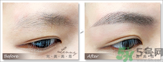 女士眉型圖片大全 女士眉毛大全圖片 女士眉型圖片大全 女士眉毛大全圖片