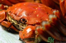 陽(yáng)澄湖大閘蟹和普通大閘蟹的區(qū)別？陽(yáng)澄湖大閘蟹比普通大閘蟹好在哪里？