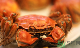 陽(yáng)澄湖大閘蟹和普通大閘蟹的區(qū)別？陽(yáng)澄湖大閘蟹比普通大閘蟹好在哪里？