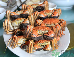 陽(yáng)澄湖大閘蟹和普通大閘蟹的區(qū)別？陽(yáng)澄湖大閘蟹比普通大閘蟹好在哪里？