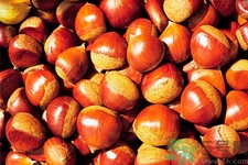 吃栗子會胖嗎？栗子吃多了會怎樣？