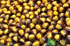 吃栗子會上火嗎？吃栗子會便秘嗎？