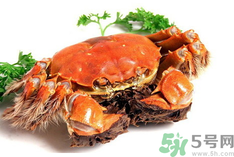 陽(yáng)澄湖大閘蟹是河蟹嗎？陽(yáng)澄湖大閘蟹和河蟹的區(qū)別