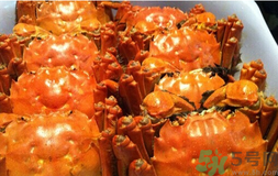 陽(yáng)澄湖大閘蟹好吃嗎？陽(yáng)澄湖大閘蟹為什么好吃？