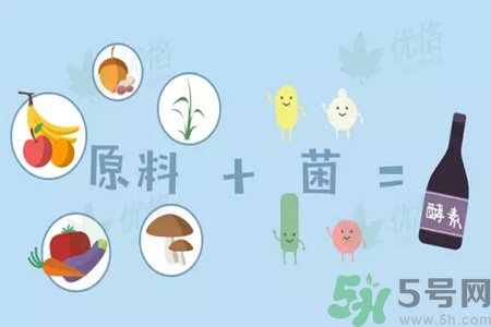 酵素是什么？吃酵素減肥有效果嗎？