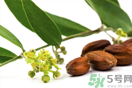 荷荷巴油可以直接擦臉嗎？荷荷巴油怎么去黑頭？