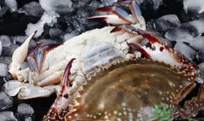 梭子蟹怎么挑選？梭子蟹挑選圖解