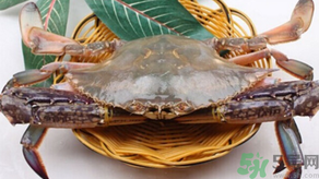 梭子蟹怎么挑選？梭子蟹挑選圖解