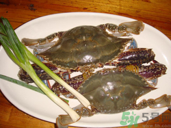 梭子蟹怎么挑選？梭子蟹挑選圖解