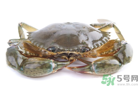 梭子蟹能冷凍嗎？梭子蟹如何冷凍保存？