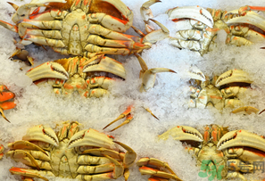 冷凍的梭子蟹能吃嗎？冷凍的梭子蟹怎么吃比較好？