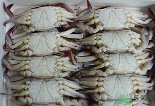 冷凍的梭子蟹能吃嗎？冷凍的梭子蟹怎么吃比較好？