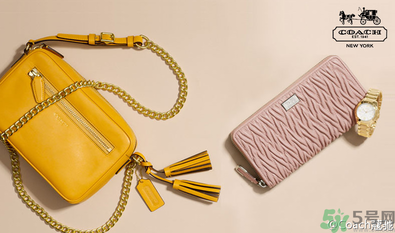 coach是什么牌子？coach包包一般多少錢？