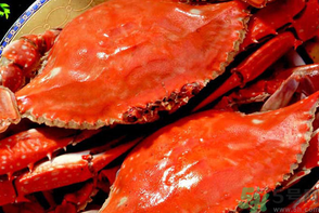 梭子蟹是發(fā)物嗎？梭子蟹是不是發(fā)物？