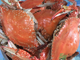 梭子蟹是發(fā)物嗎？梭子蟹是不是發(fā)物？