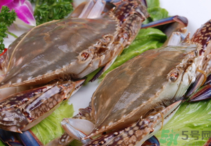 梭子蟹是發(fā)物嗎？梭子蟹是不是發(fā)物？