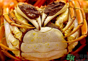 河蟹死了一天能吃嗎？河蟹死了多久不能吃？
