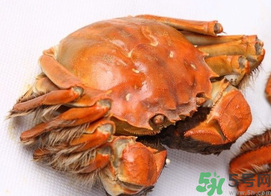 河蟹死了一天能吃嗎？河蟹死了多久不能吃？