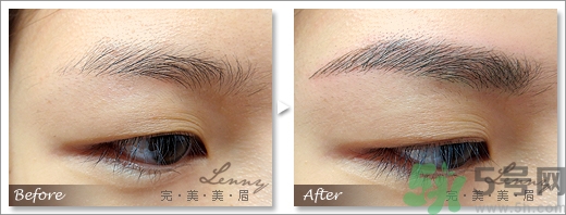 女士眉型圖片大全 女士眉毛大全圖片 女士眉型圖片大全 女士眉毛大全圖片