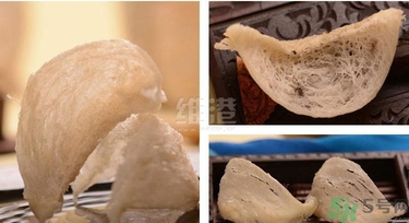 去香港買燕窩哪里好？香港哪里買燕窩比較好正宗？