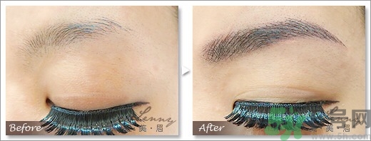 女士眉型圖片大全 女士眉毛大全圖片 女士眉型圖片大全 女士眉毛大全圖片