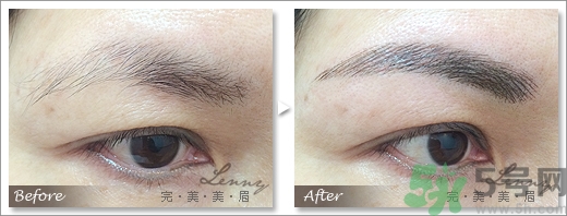 女士眉型圖片大全 女士眉毛大全圖片 女士眉型圖片大全 女士眉毛大全圖片