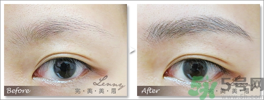 女士眉型圖片大全 女士眉毛大全圖片 女士眉型圖片大全 女士眉毛大全圖片