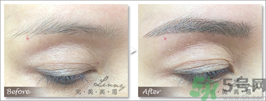 女士眉型圖片大全 女士眉毛大全圖片 女士眉型圖片大全 女士眉毛大全圖片