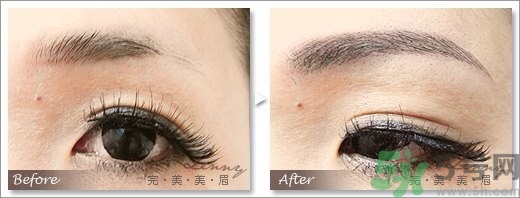 女士眉型圖片大全 女士眉毛大全圖片 女士眉型圖片大全 女士眉毛大全圖片