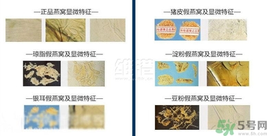 去香港買燕窩哪里好？香港哪里買燕窩比較好正宗？