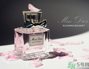 全新迪奧小姐淡香氛怎么樣？全新迪奧小姐淡香氛好用嗎？