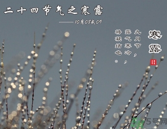 寒露是什么意思？寒露是幾月幾日