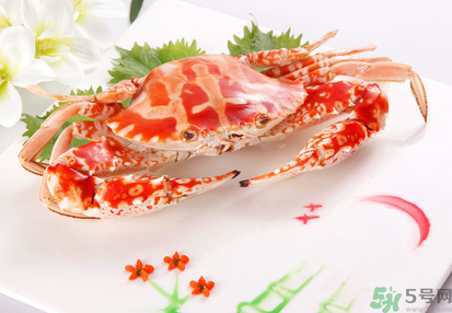 梭子蟹和花蟹的區(qū)別？梭子蟹和花蟹哪個好吃？